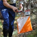 830_orienteering_control.jpg